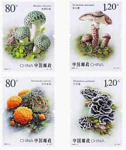 Китай, 2025, Грибы, 4 марки